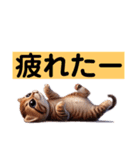 リアルかわいい子猫のスタンプ（個別スタンプ：8）