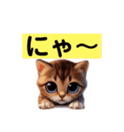 リアルかわいい子猫のスタンプ（個別スタンプ：9）