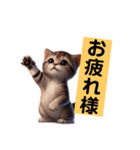 リアルかわいい子猫のスタンプ（個別スタンプ：14）