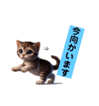 リアルかわいい子猫のスタンプ（個別スタンプ：15）