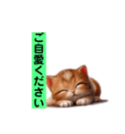 リアルかわいい子猫のスタンプ（個別スタンプ：18）