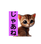 リアルかわいい子猫のスタンプ（個別スタンプ：19）