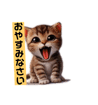 リアルかわいい子猫のスタンプ（個別スタンプ：22）
