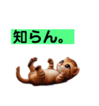 リアルかわいい子猫のスタンプ（個別スタンプ：25）