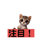リアルかわいい子猫のスタンプ（個別スタンプ：27）