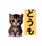 リアルかわいい子猫のスタンプ（個別スタンプ：30）