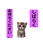 リアルかわいい子猫のスタンプ（個別スタンプ：31）