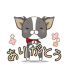 僅かな感情を選べるスタンプ【ちわ犬】（個別スタンプ：2）