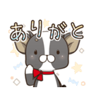 僅かな感情を選べるスタンプ【ちわ犬】（個別スタンプ：3）
