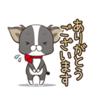 僅かな感情を選べるスタンプ【ちわ犬】（個別スタンプ：4）