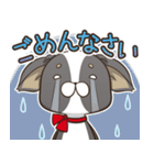 僅かな感情を選べるスタンプ【ちわ犬】（個別スタンプ：6）
