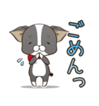 僅かな感情を選べるスタンプ【ちわ犬】（個別スタンプ：7）