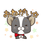 僅かな感情を選べるスタンプ【ちわ犬】（個別スタンプ：11）