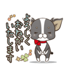 僅かな感情を選べるスタンプ【ちわ犬】（個別スタンプ：13）