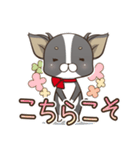 僅かな感情を選べるスタンプ【ちわ犬】（個別スタンプ：15）