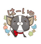 僅かな感情を選べるスタンプ【ちわ犬】（個別スタンプ：17）