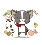 僅かな感情を選べるスタンプ【ちわ犬】（個別スタンプ：18）