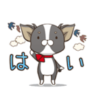 僅かな感情を選べるスタンプ【ちわ犬】（個別スタンプ：19）
