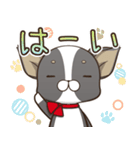 僅かな感情を選べるスタンプ【ちわ犬】（個別スタンプ：20）