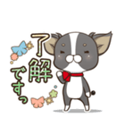 僅かな感情を選べるスタンプ【ちわ犬】（個別スタンプ：21）