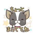 僅かな感情を選べるスタンプ【ちわ犬】（個別スタンプ：25）