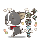 僅かな感情を選べるスタンプ【ちわ犬】（個別スタンプ：27）