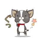 僅かな感情を選べるスタンプ【ちわ犬】（個別スタンプ：30）