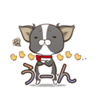 僅かな感情を選べるスタンプ【ちわ犬】（個別スタンプ：31）