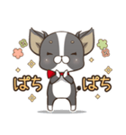 僅かな感情を選べるスタンプ【ちわ犬】（個別スタンプ：32）