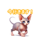 とにかくかわいい スフィンクス（個別スタンプ：17）