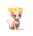 とにかくかわいい スフィンクス（個別スタンプ：24）