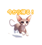 とにかくかわいい スフィンクス（個別スタンプ：36）