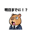 カピバラ会社員（個別スタンプ：3）