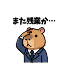 カピバラ会社員（個別スタンプ：4）