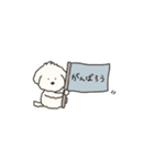 省スペース＊犬のもこまるのいろんな挨拶（個別スタンプ：26）