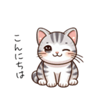 アメショのイラスト風（個別スタンプ：2）
