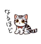 アメショのイラスト風（個別スタンプ：5）