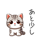 アメショのイラスト風（個別スタンプ：13）