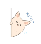 ポメプーのルルちゃん（個別スタンプ：13）
