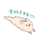 ポメプーのルルちゃん（個別スタンプ：14）