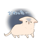 ポメプーのルルちゃん（個別スタンプ：16）