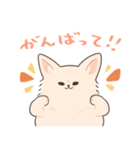 ポメプーのルルちゃん（個別スタンプ：19）
