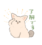 ポメプーのルルちゃん（個別スタンプ：21）