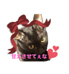 こげという名の黒猫女子（個別スタンプ：9）