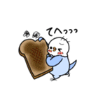 ぷくぷくインコとパン（個別スタンプ：33）