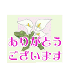 シニア女性マダム達 春 デカ文字 改訂版（個別スタンプ：6）