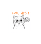 子猫の英語教師（個別スタンプ：4）