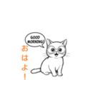 子猫の英語教師（個別スタンプ：17）