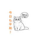 子猫の英語教師（個別スタンプ：30）