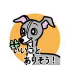 人生山あり谷ありイタグレ達のスタンプ（個別スタンプ：1）